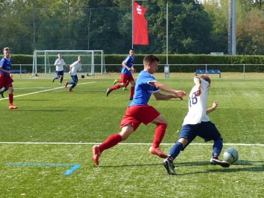 A-Jugend vs. VfL Halle (11.09.2016)