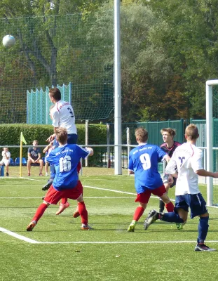 A-Jugend vs. VfL Halle (11.09.2016)