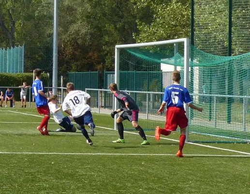 A-Jugend vs. VfL Halle (11.09.2016)