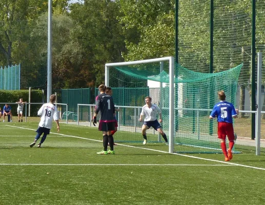 A-Jugend vs. VfL Halle (11.09.2016)