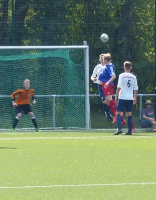 A-Jugend vs. VfL Halle (11.09.2016)