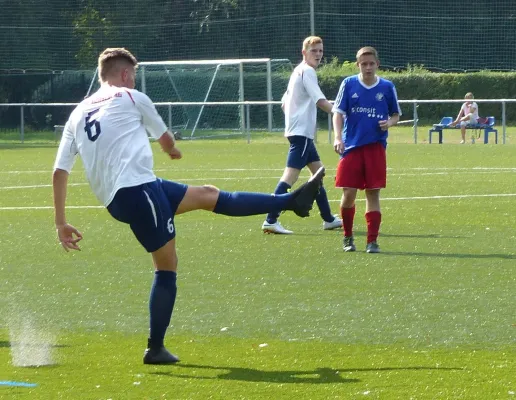 A-Jugend vs. VfL Halle (11.09.2016)