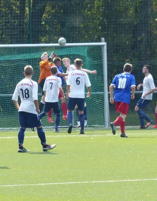 A-Jugend vs. VfL Halle (11.09.2016)