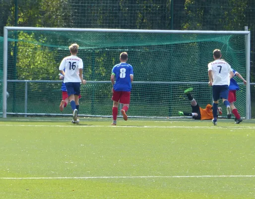 A-Jugend vs. VfL Halle (11.09.2016)