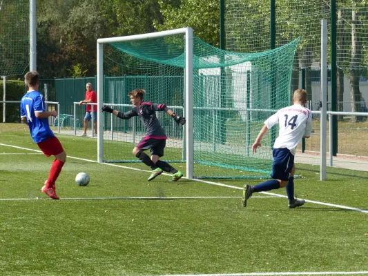 A-Jugend vs. VfL Halle (11.09.2016)