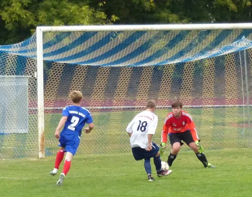 A-Jugend gewinnt 7:1 bei Turbine Halle