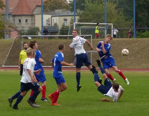 A-Jugend gewinnt 7:1 bei Turbine Halle