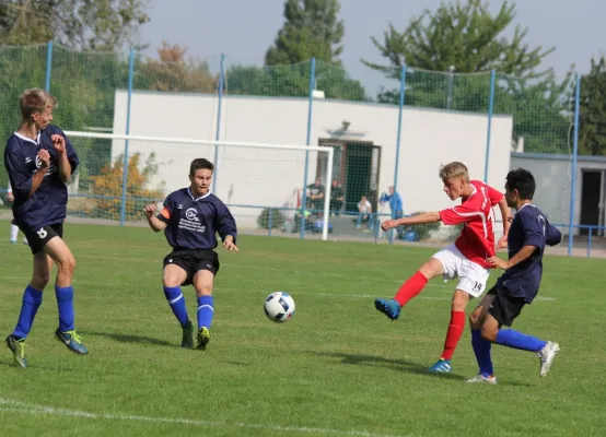 B-Jugend gegen VfB Sangerhausen