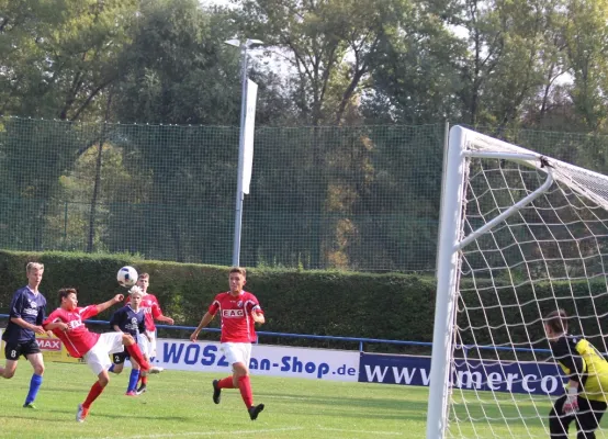 B-Jugend gegen VfB Sangerhausen