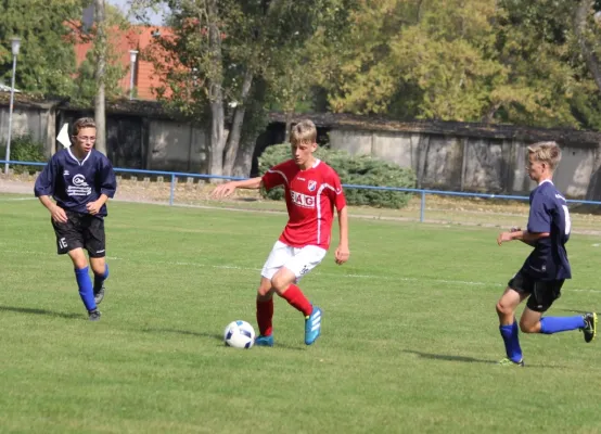 B-Jugend gegen VfB Sangerhausen