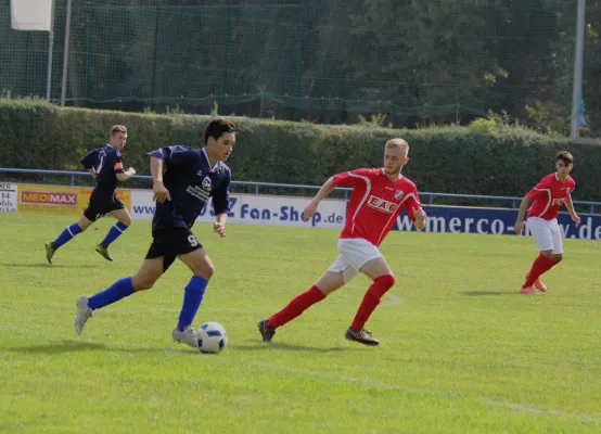 B-Jugend gegen VfB Sangerhausen