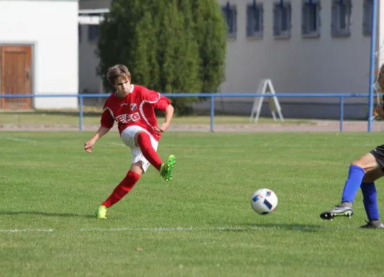 B-Jugend gegen VfB Sangerhausen