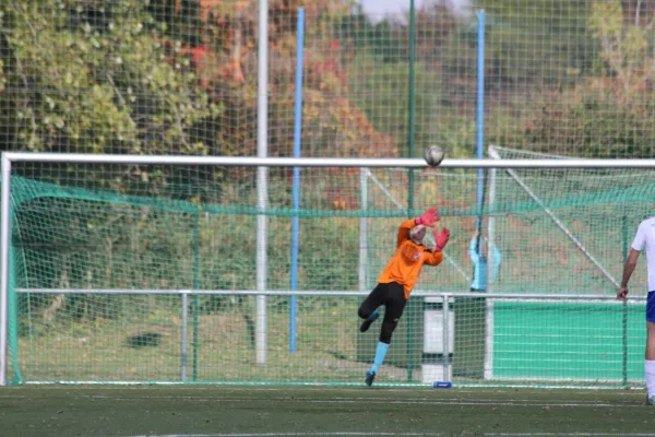 VfB IMO Merseburg - Freyburg/Bad Kösen