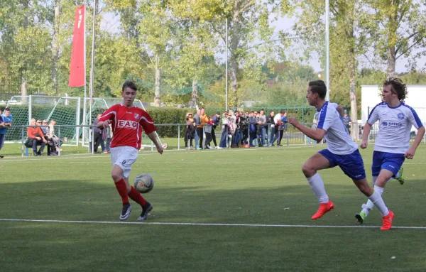 VfB IMO Merseburg - Freyburg/Bad Kösen