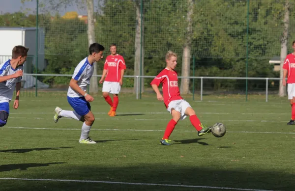 VfB IMO Merseburg - Freyburg/Bad Kösen