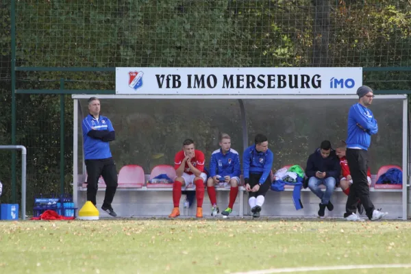 VfB IMO Merseburg - Freyburg/Bad Kösen