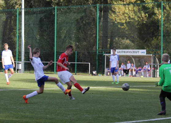 VfB IMO Merseburg - Freyburg/Bad Kösen