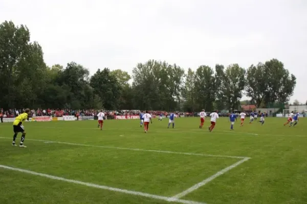 Landespokal 2010 gegen Halleschen FC