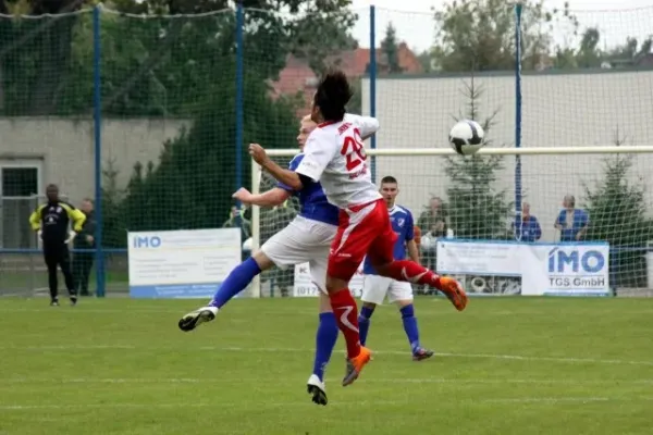 Landespokal 2010 gegen Halleschen FC