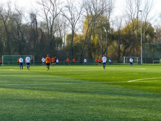 B-Junioren VfB IMO - Sandersdorf/Thalheim 09.11.14