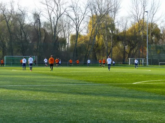 B-Junioren VfB IMO - Sandersdorf/Thalheim 09.11.14