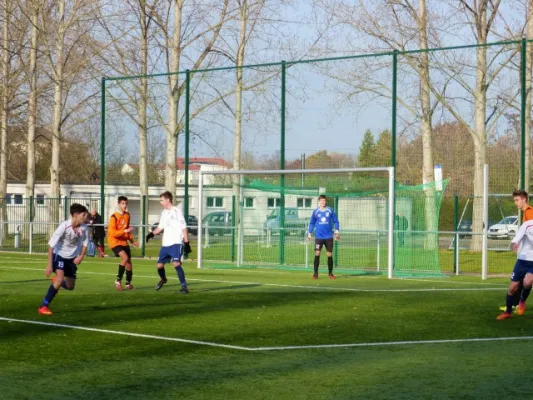 B-Junioren VfB IMO - Schönebecker SC 22.11.14