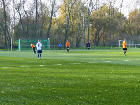 B-Junioren VfB IMO - Schönebecker SC 22.11.14