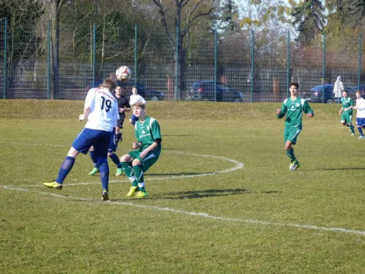 B-Jun. Schönebecker SC - VfB IMO 08.03.15