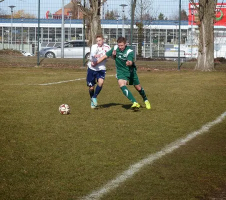 B-Jun. Schönebecker SC - VfB IMO 08.03.15