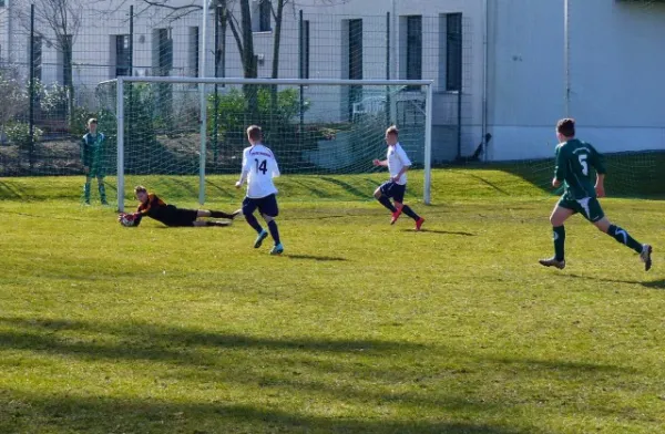 B-Jun. Schönebecker SC - VfB IMO 08.03.15