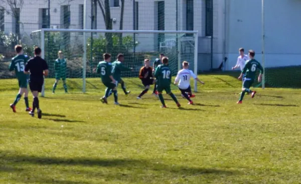 B-Jun. Schönebecker SC - VfB IMO 08.03.15