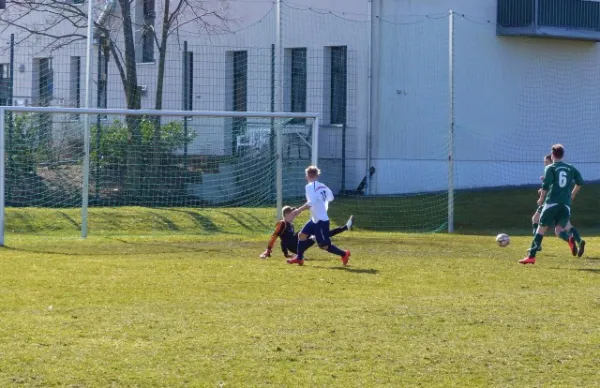 B-Jun. Schönebecker SC - VfB IMO 08.03.15