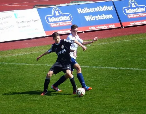 B-Jun. Germ. Halberstadt - VfB IMO 19.04.15