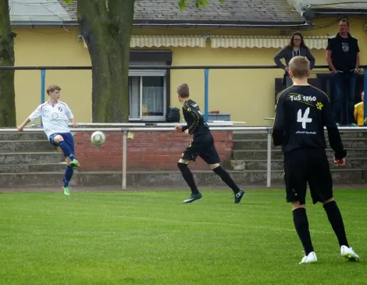 B-Jun. TuS Magdeb.-Neustadt - VfB IMO 25.04.15