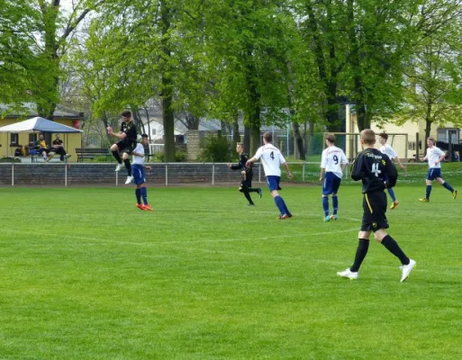 B-Jun. TuS Magdeb.-Neustadt - VfB IMO 25.04.15