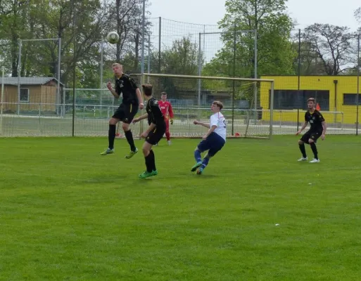 B-Jun. TuS Magdeb.-Neustadt - VfB IMO 25.04.15