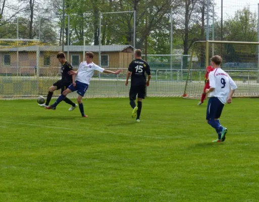 B-Jun. TuS Magdeb.-Neustadt - VfB IMO 25.04.15