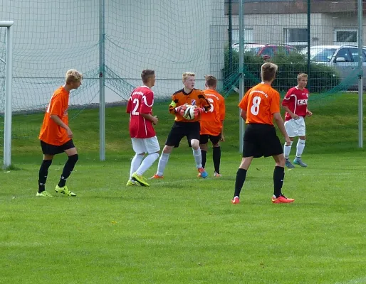 B-Jugend in Schönebeck 30-08.2015