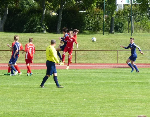 B-Jugend in Salzwedel (06.09.2015)