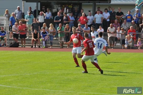 Verbandsliga Burger BC vs. IMO Merseburg