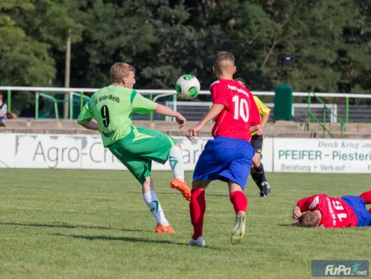 Verbandsliga  FC Grün Weiß Piesteritz vs. IMO