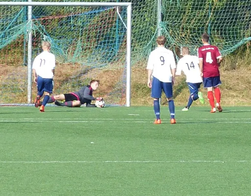 A-Jugend beim VfL Halle 04.10.2015