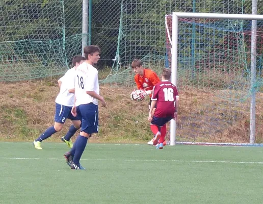 A-Jugend beim VfL Halle 04.10.2015