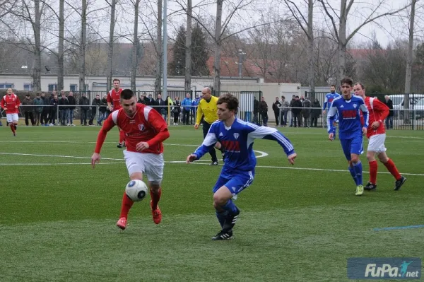 Verbandsliga IMO Merseburg  vs. Burger BC