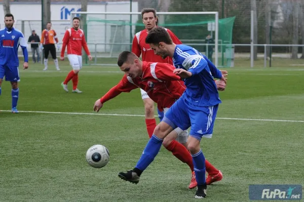 Verbandsliga IMO Merseburg  vs. Burger BC