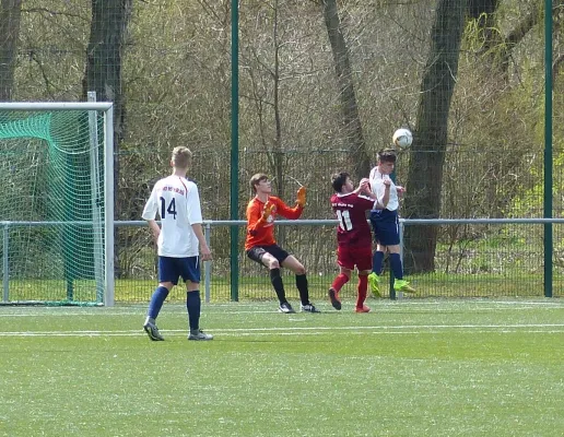 A-Jugend - VfL Halle Spitzenspiel