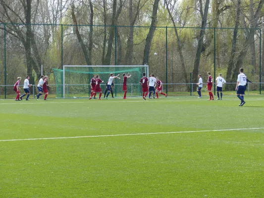 A-Jugend - VfL Halle Spitzenspiel