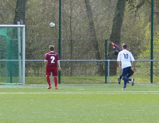 A-Jugend - VfL Halle Spitzenspiel