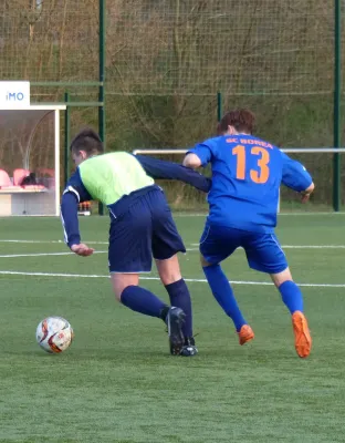 B-Jugend vs. Bores Dresden 06.04.2016