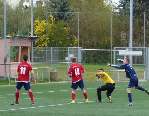 B-Jugend vs. VfL Halle 18.04.2016